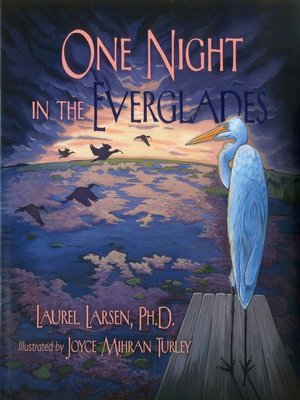 cover image of One Night in the Everglades